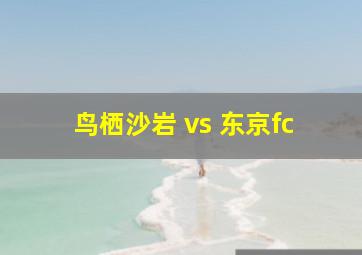 鸟栖沙岩 vs 东京fc